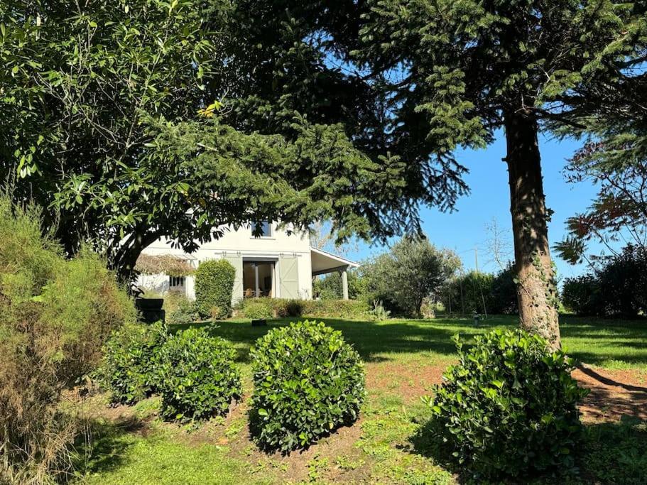 Maison Bordeaux Saint Emilion Beychac-et-Caillau Esterno foto